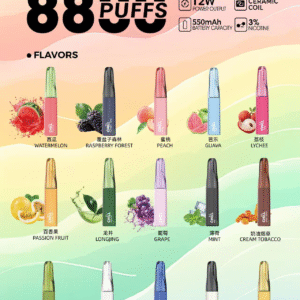 【滿10送1 請備注口味】🌟 CHILL 一次性抛棄式電子煙💨 8800口超長持久💥 | 10種口味任你選🍒🍏 | 熱門爆款🔥 立即體驗！